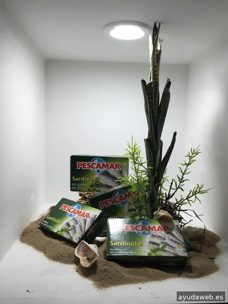 Escaparatista Barcelona Andreu Torras