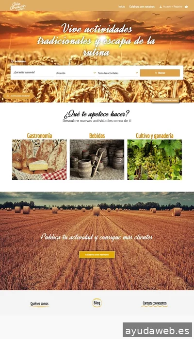 Origami Digital Business