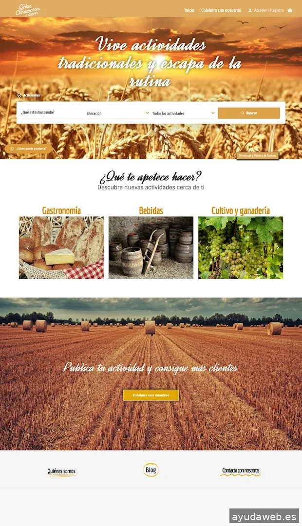 Origami Digital Business