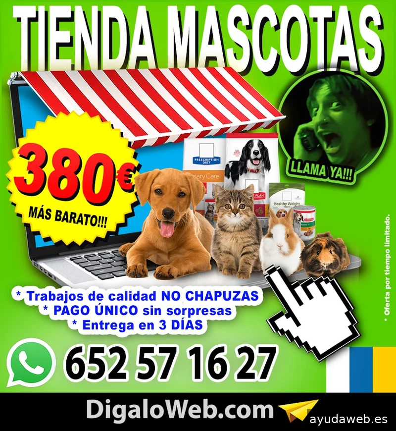 Diseño Web Las Palmas
