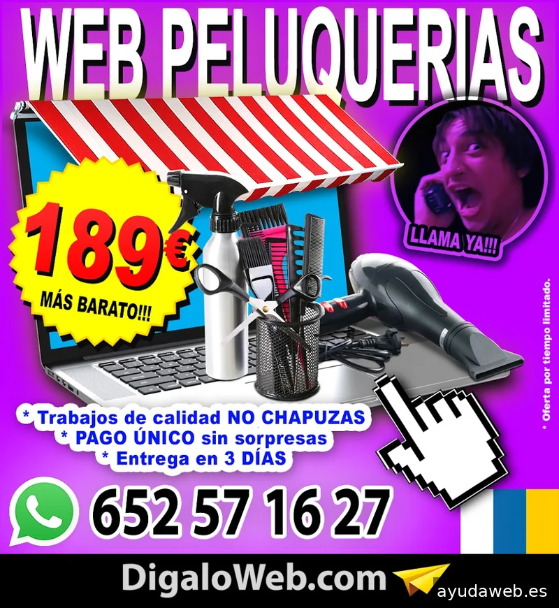 Diseño Web Las Palmas
