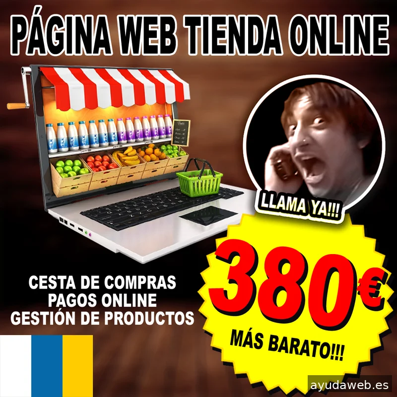 Diseño Web Las Palmas
