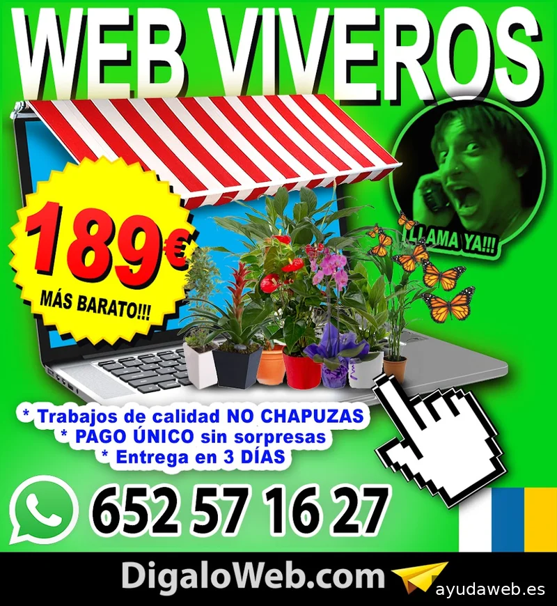 Diseño Web Las Palmas