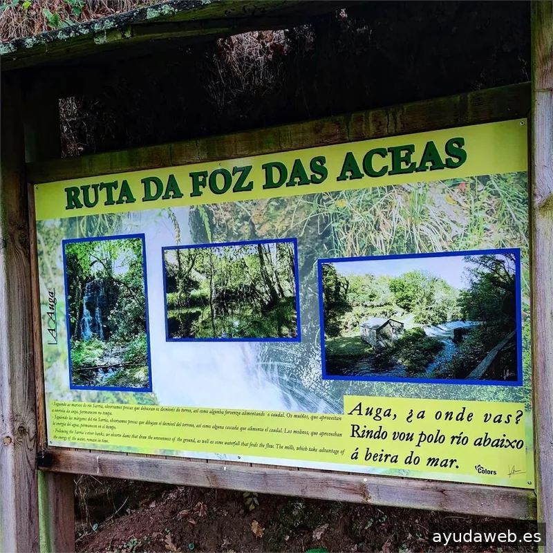 Colors Diseño & Rotulación