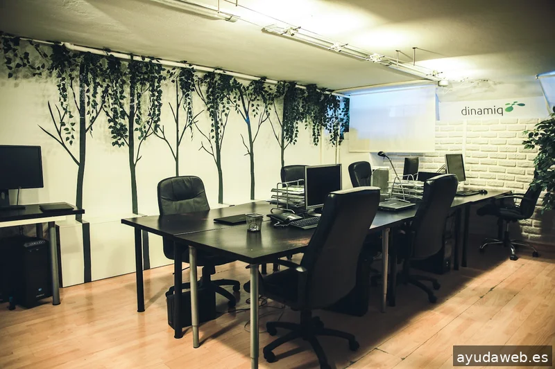 Dinamiq | Agencia SEO