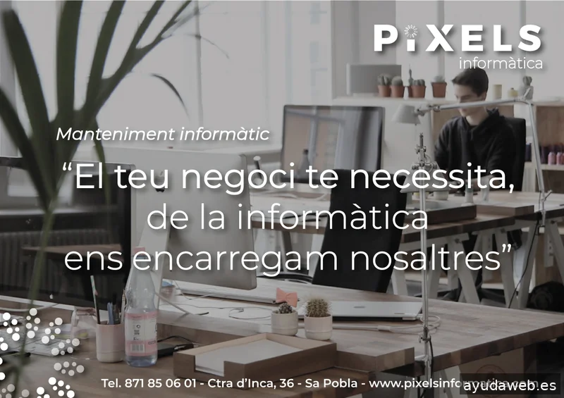 Pixels Informatica