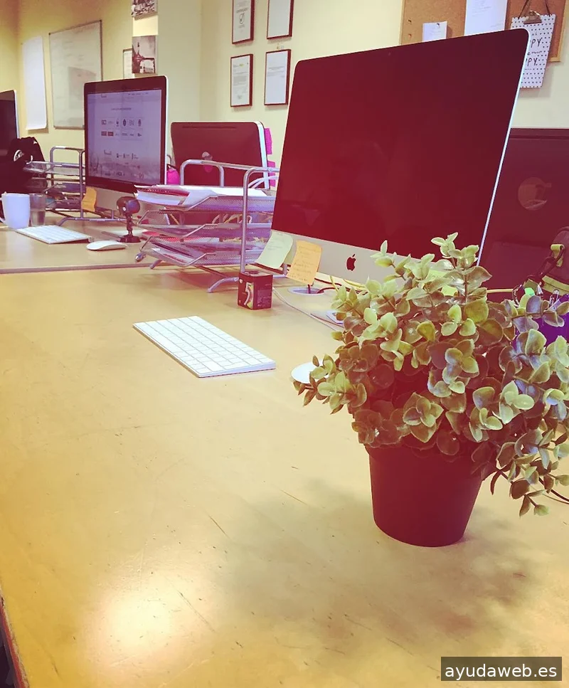 Posicionamiento Web ProvidersWeb