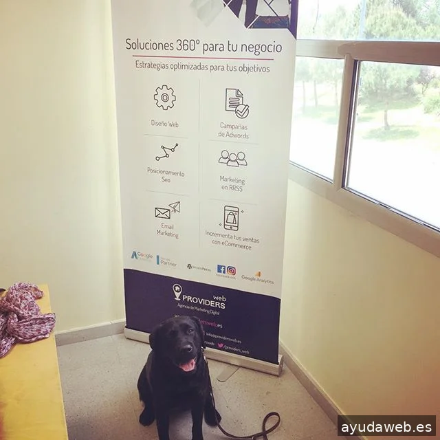 Posicionamiento Web ProvidersWeb