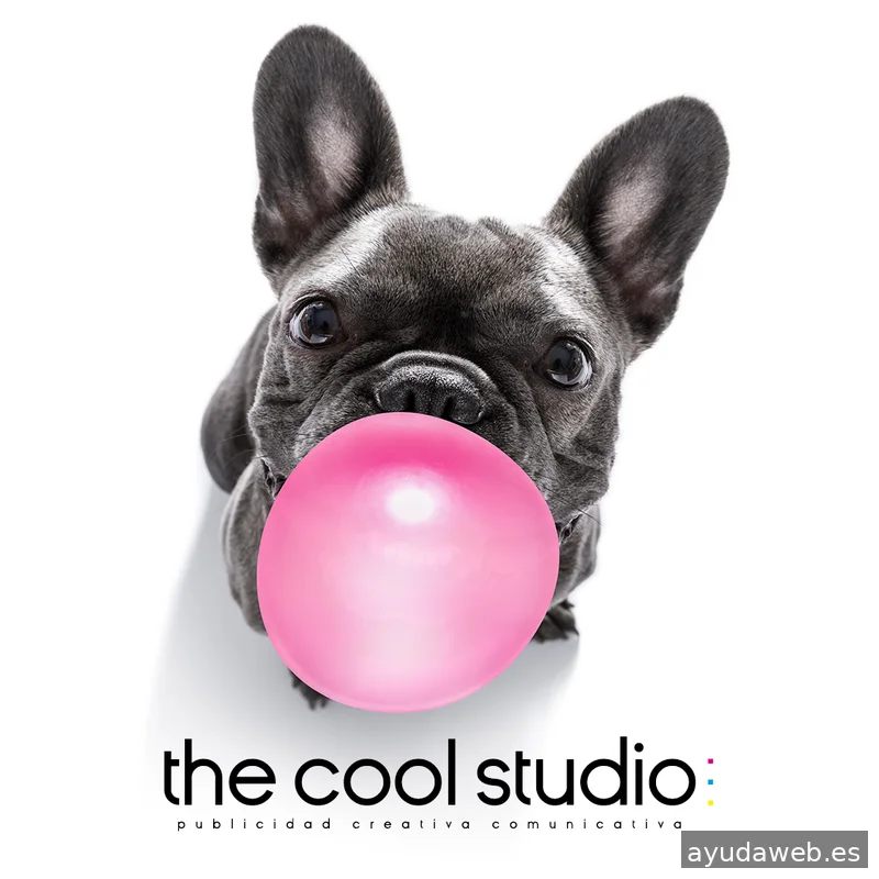 The Cool Studio