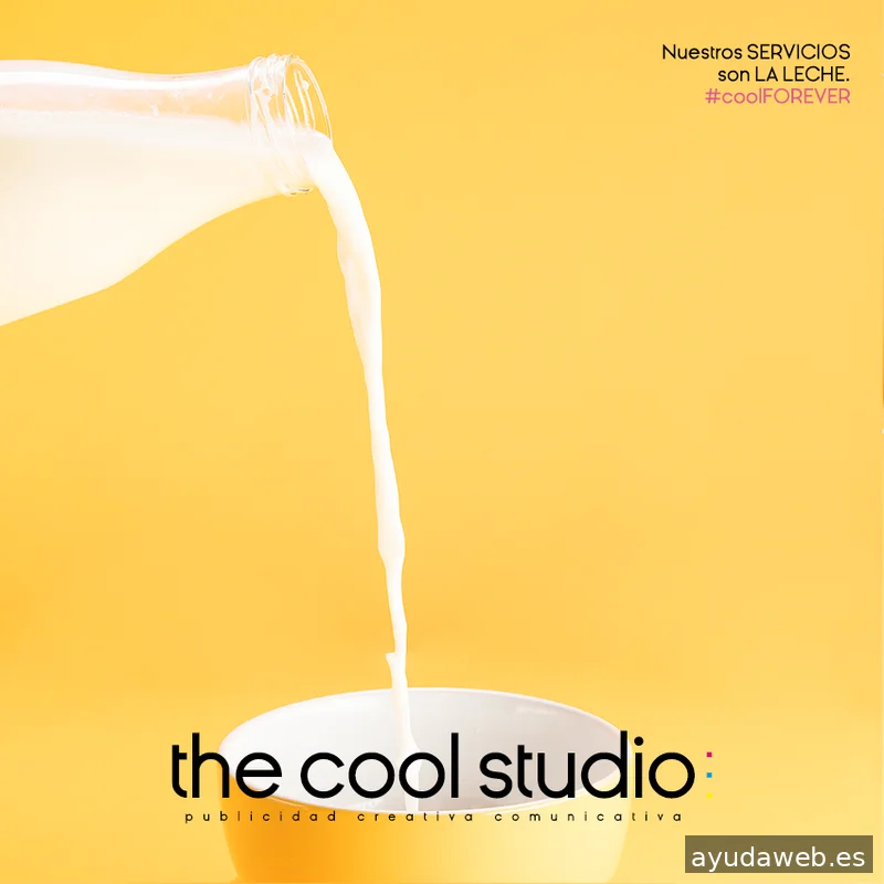 The Cool Studio