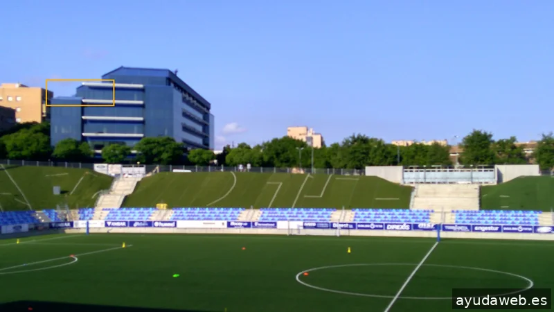 Consultor SEO Ricard Menor