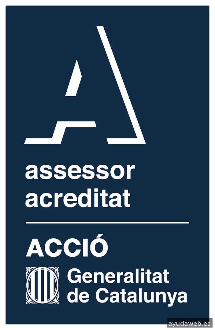 Consultor SEO Ricard Menor