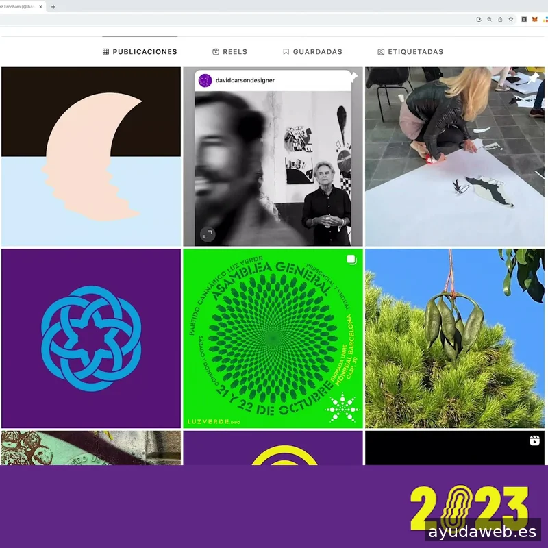 Felipe Ibáñez - Diseño y Edición