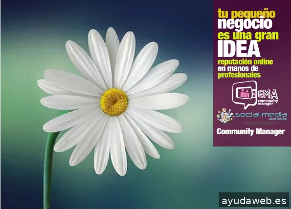 Social media Granada