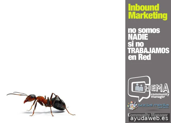 Social media Granada