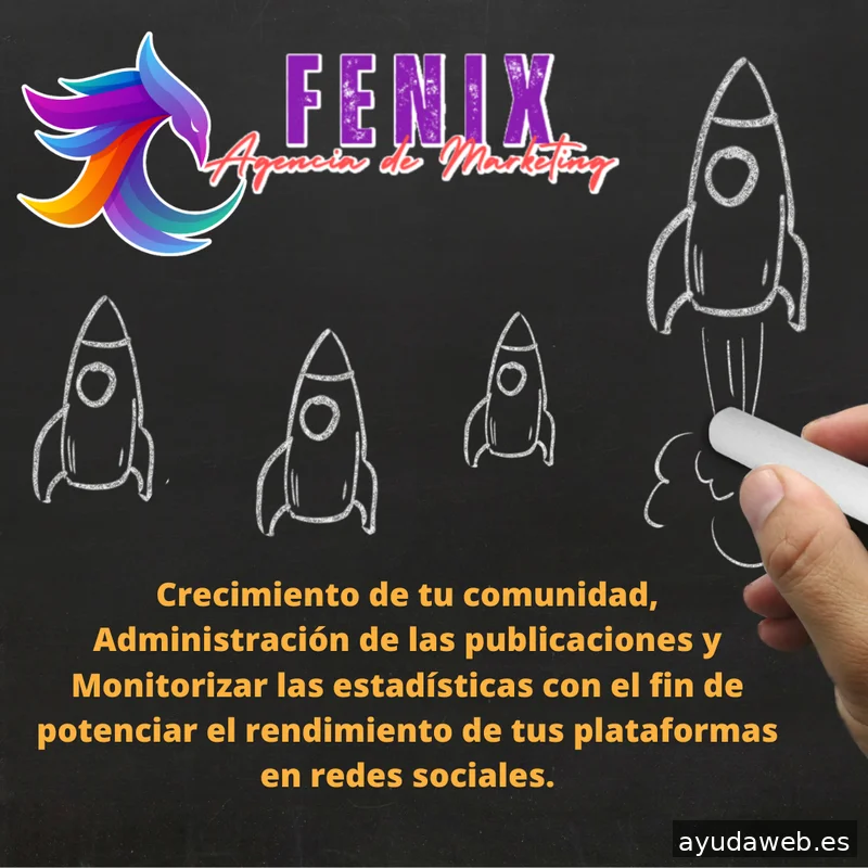 FÉNIX AGENCIA DE MARKETING