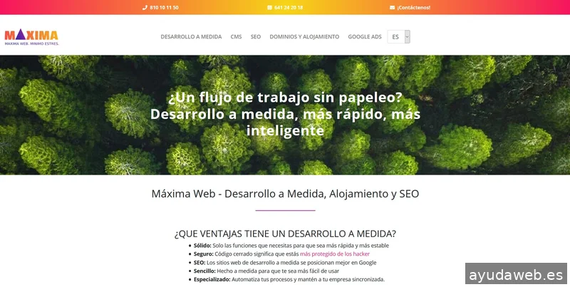 Máxima Web