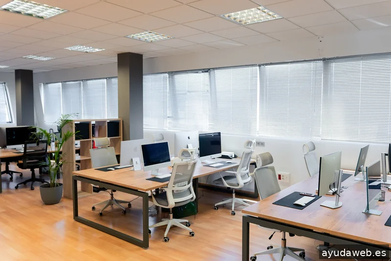 WIT CREATIVO | Agencia de Marketing Digital en Granada. Agente Digitalizador en Granada. Kit Digital