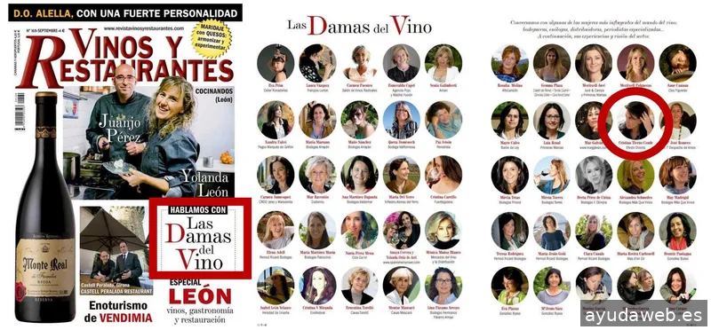 Agencia Efecto Directo