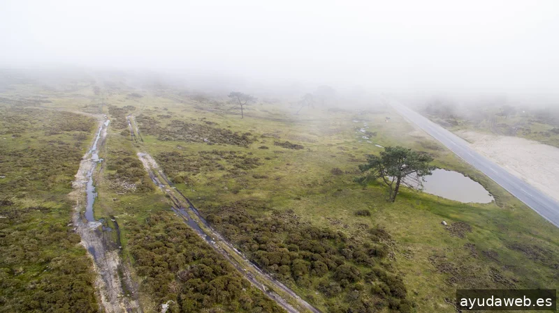 GRUPO DRONGAL / Fotografía y vídeo con drones.