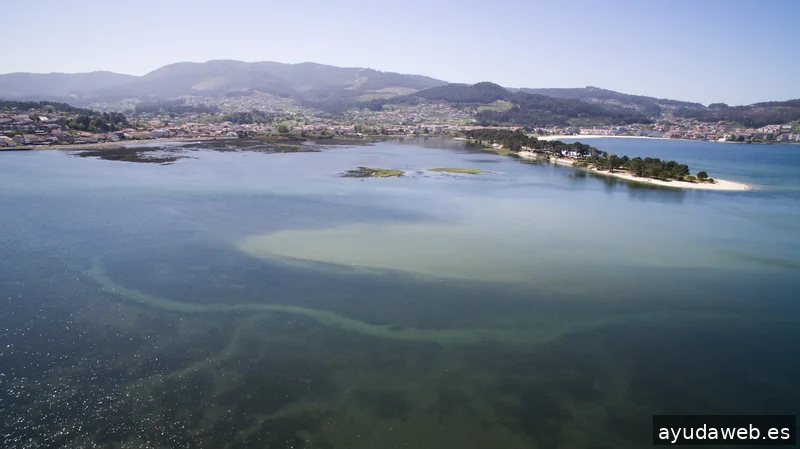 GRUPO DRONGAL / Fotografía y vídeo con drones.