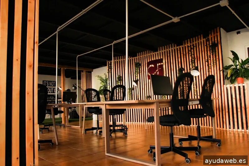 Millennials Consulting Tenerife | Zoho Premium Partner