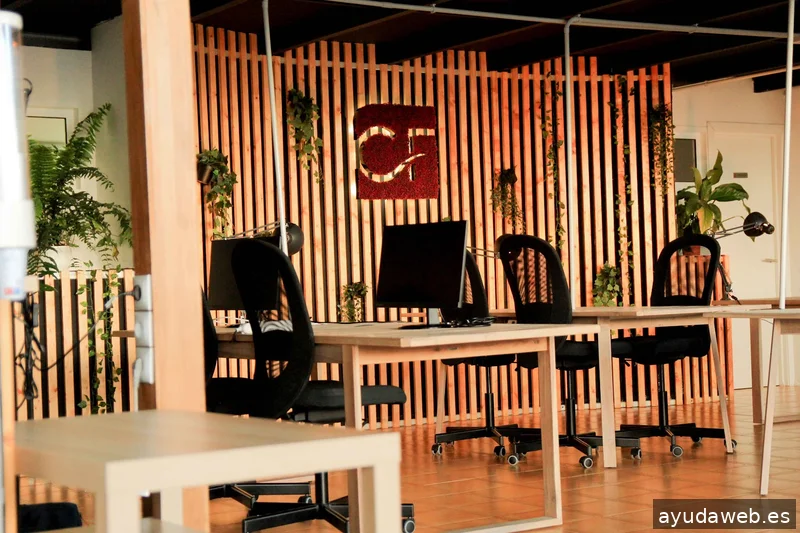 Millennials Consulting Tenerife | Zoho Premium Partner