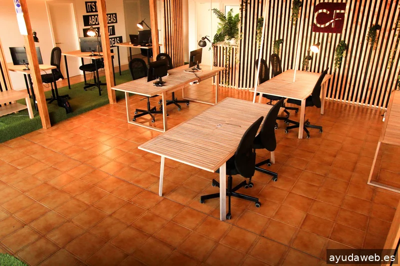 Millennials Consulting Tenerife | Zoho Premium Partner