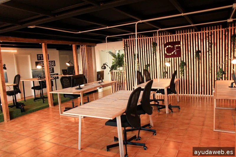 Millennials Consulting Tenerife | Zoho Premium Partner