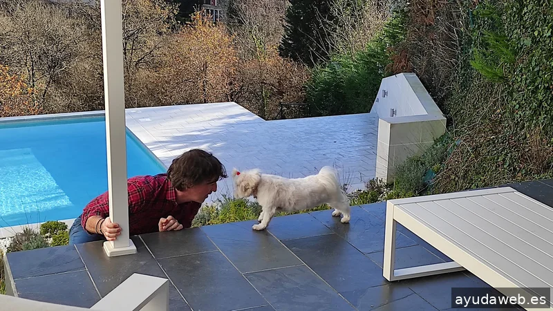 Inmobiliaria ehome Getxo