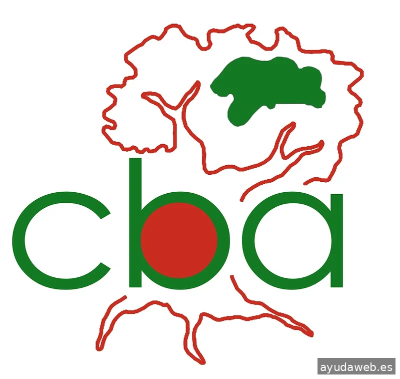 Comunicación Bajo Aragón