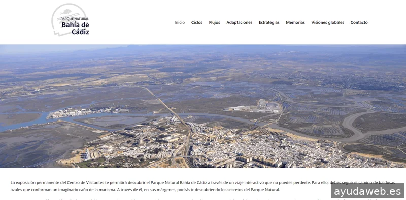 Ewyt Diseñadores - Diseño y desarrollo web