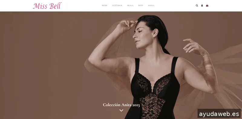 Ewyt Diseñadores - Diseño y desarrollo web