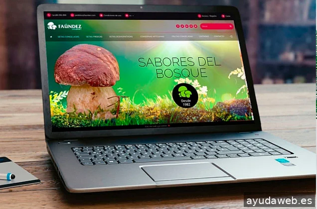 Sistemas Globales Multimedia, S.L.