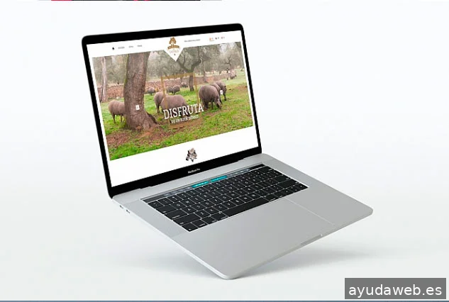 Sistemas Globales Multimedia, S.L.