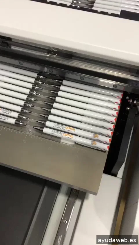 Personaliza2