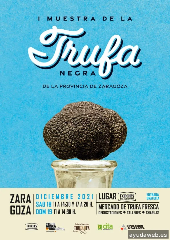 Marta Tornos "Comunicación y Marketing"