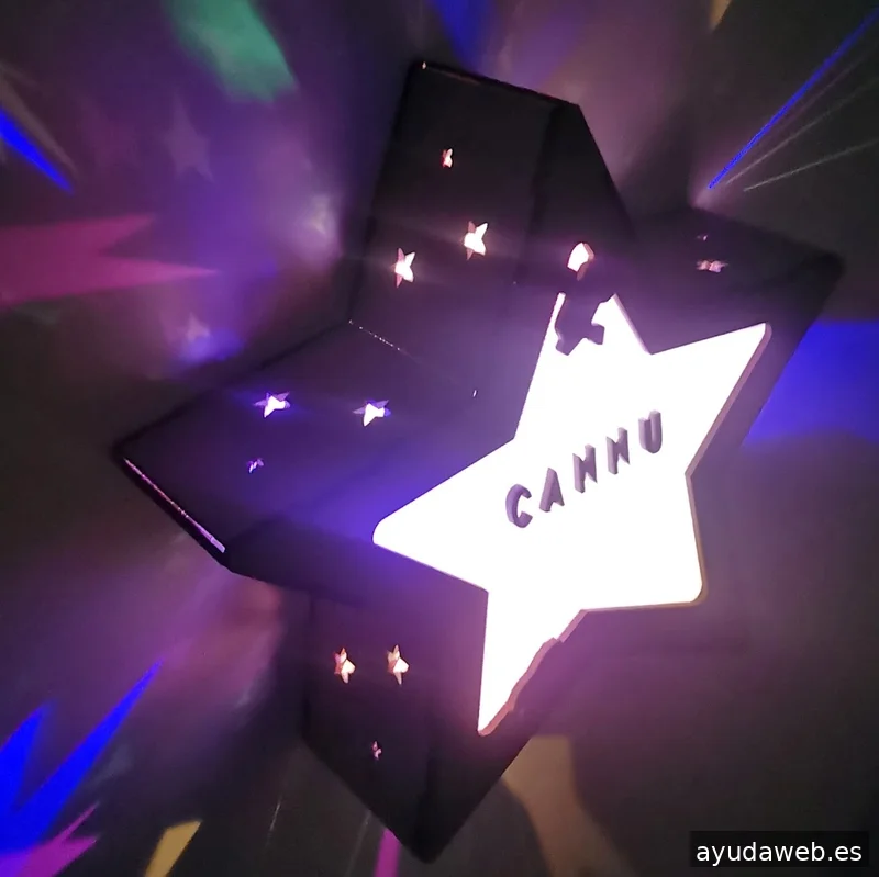 CANNU PROJECTS