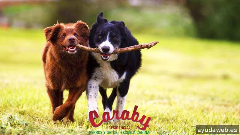 Positive Image - Publicidad online - Asesoría publicitaria