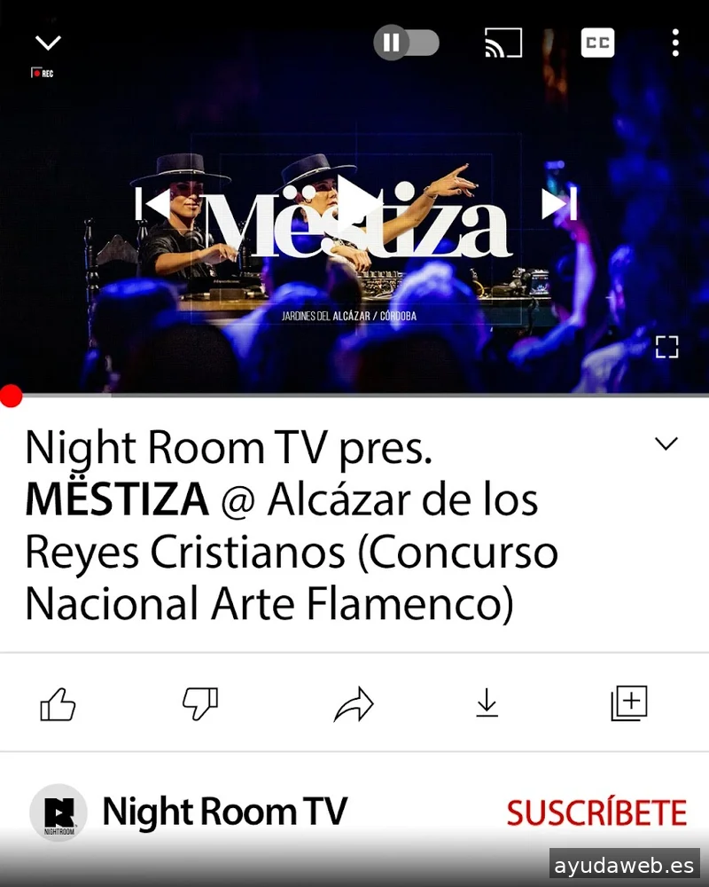 Ecotáctil - Festivales / Agencia Azafatas / Bici Mupis / Audiovisuales
