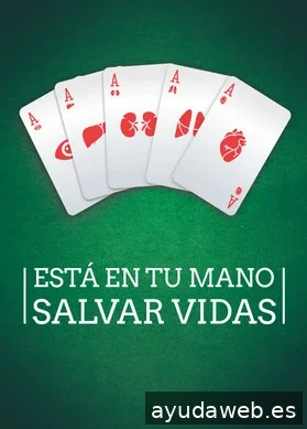 Andrea Bracho · Estudio de diseño gráfico