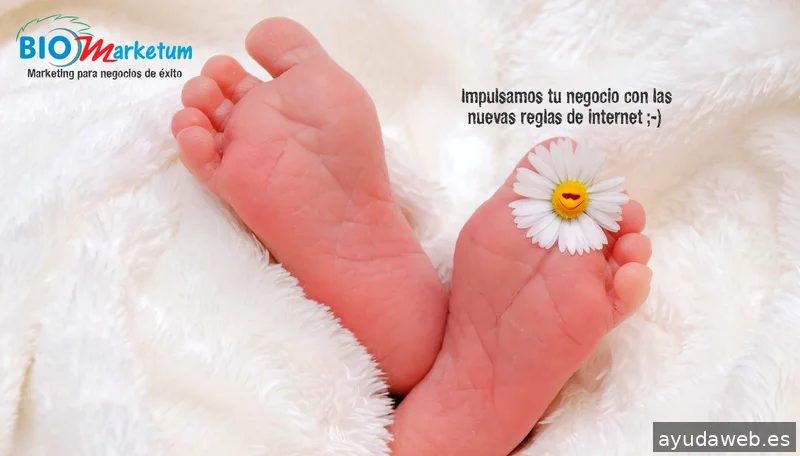 Biomarketum. Diseño Web. Marketing