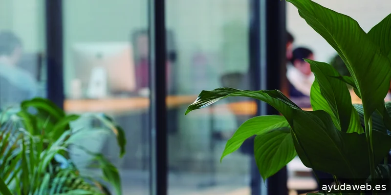 21gramos | Agencia y consultora de comunicación especializada en impacto positivo