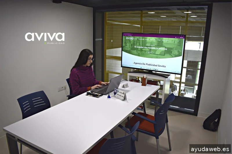 Aviva Publicidad