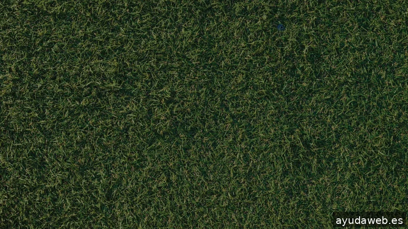 Green Rife Marketing