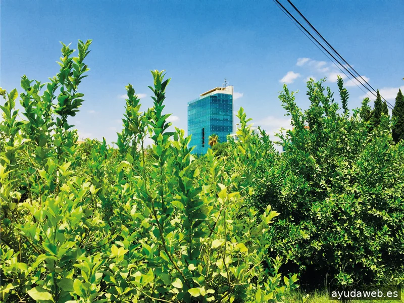 Casaú Estudio Creativo