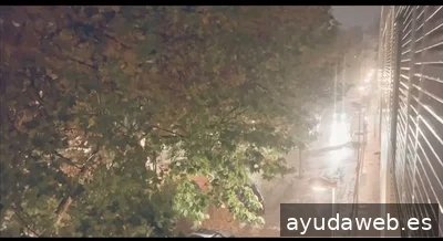 Laura Calvo | Oleoturismo, Contenido y Estrategia de ventas para Marcas de Aceite de Oliva que no quieren parecer genéricas