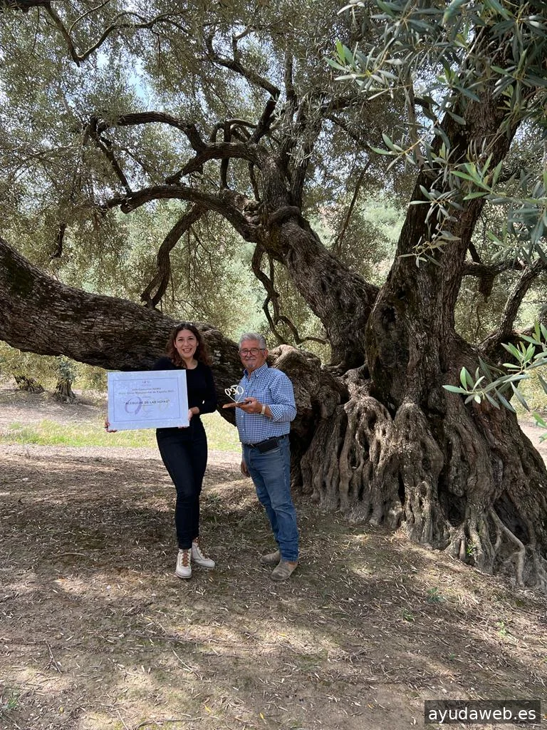 Laura Calvo | Oleoturismo, Contenido y Estrategia de ventas para Marcas de Aceite de Oliva que no quieren parecer genéricas