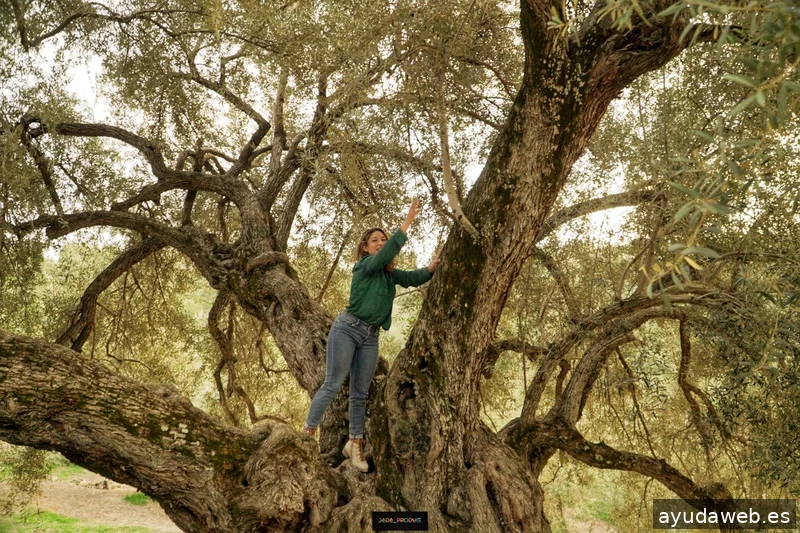 Laura Calvo | Oleoturismo, Contenido y Estrategia de ventas para Marcas de Aceite de Oliva que no quieren parecer genéricas