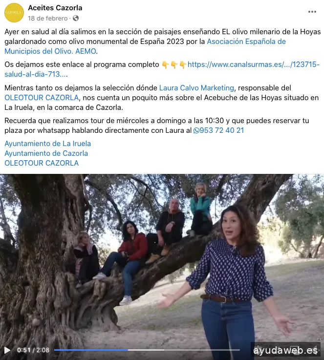 Laura Calvo | Oleoturismo, Contenido y Estrategia de ventas para Marcas de Aceite de Oliva que no quieren parecer genéricas